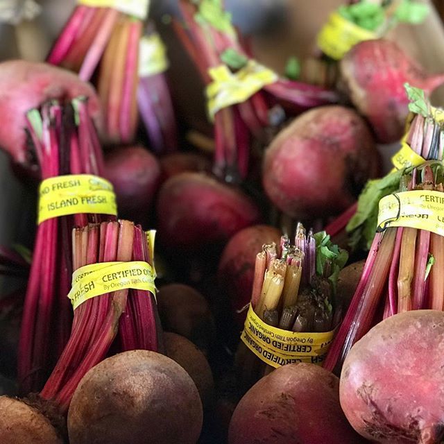 MTPMaui's tweet photo. Bring the beet back! Chioggia beets are back in season at #kumufarms⠀
⠀
#kumufarms #mauitropicalplantation #mauigrown #grownonmaui #knowthyfarmer #maui #mauifarms #hawaii #farmstand #farmtotable https://t.co/94UiCywALE