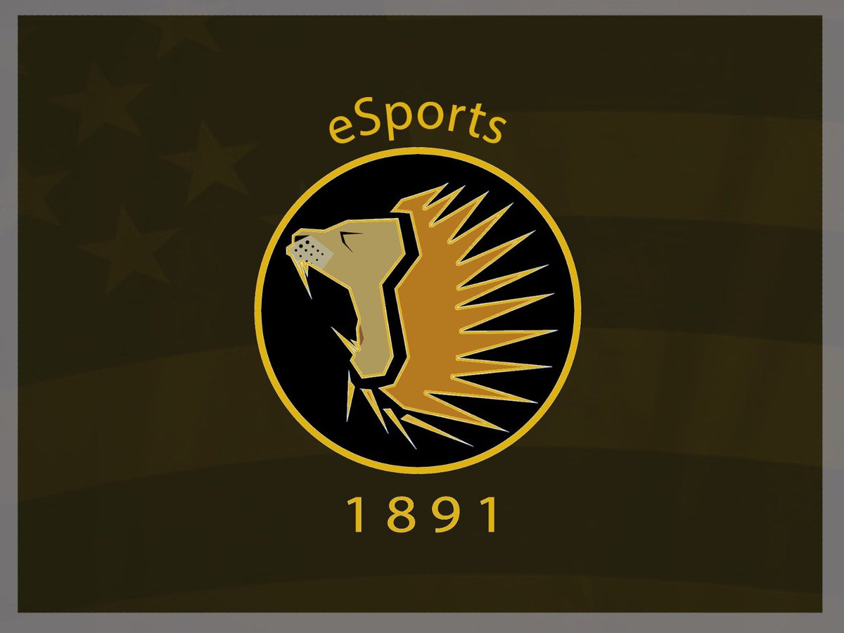 Bienvenido a la Copa 8/16