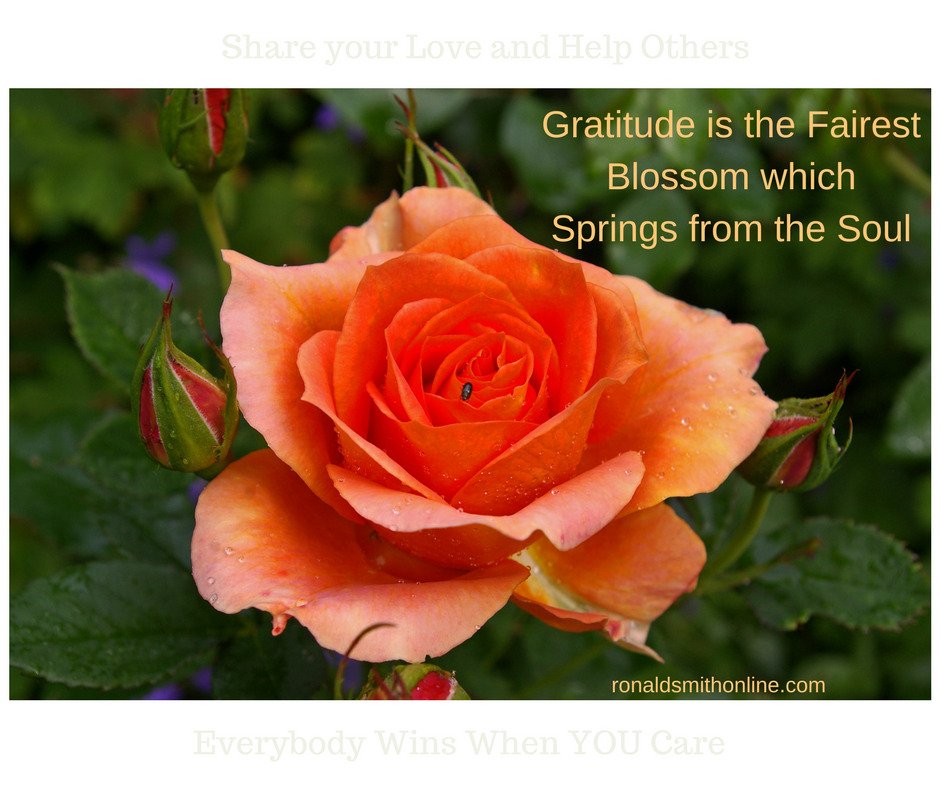 rescueronnie146's tweet image. Only a Life lived for Others is a Life Worthwhile.

#HelpOthersAchieve  #SuccessisBetterTogether