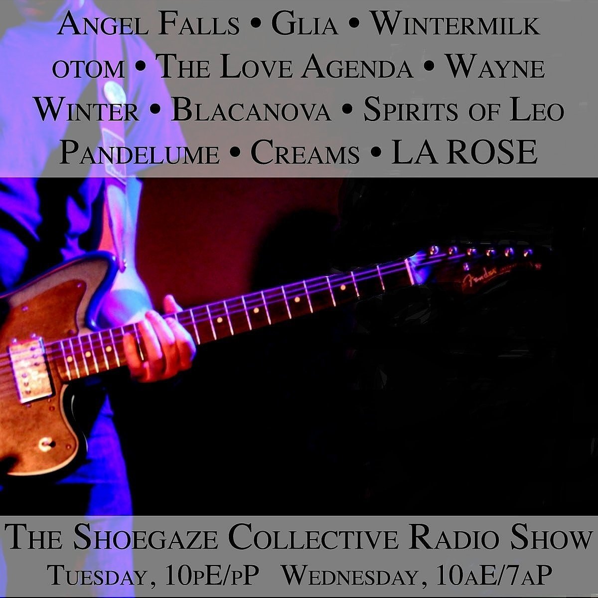 TShoegazeCollective tweet media