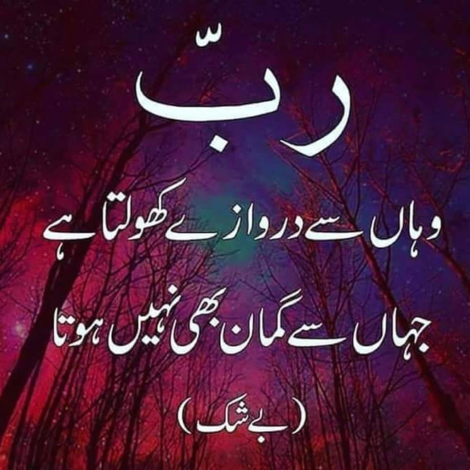 Ikramullahjan9's tweet photo. @islahuddin17 https://t.co/Wp452ESwXr