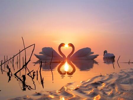 Loving World tweet media