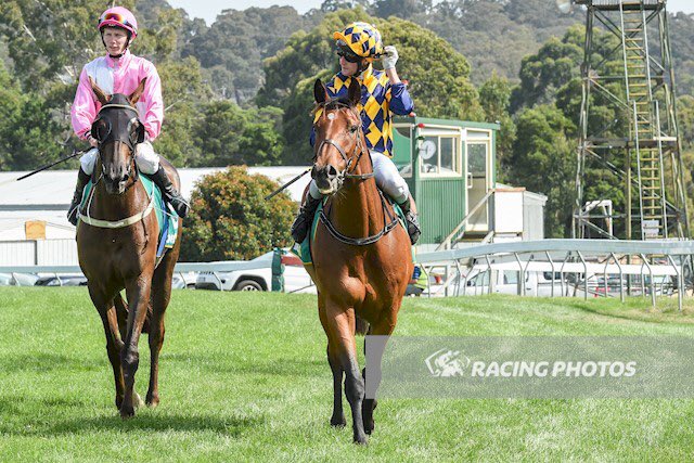 YargiAmy's tweet photo. Good luck to Geoff, Jill and the #Rockmount crew tonight. We have Skyfire racing at Sandown in R6, a BM64 2100m, @rawiller to ride 🤞🏻 https://t.co/97DIJ5irXn