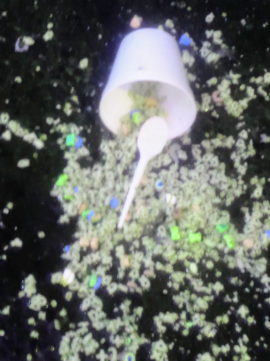 kwardvancouver's tweet image. then everything was not okay
#dtes  #notsubtle #hasting
the yellow stars are melting
marshmallows, not metaphor