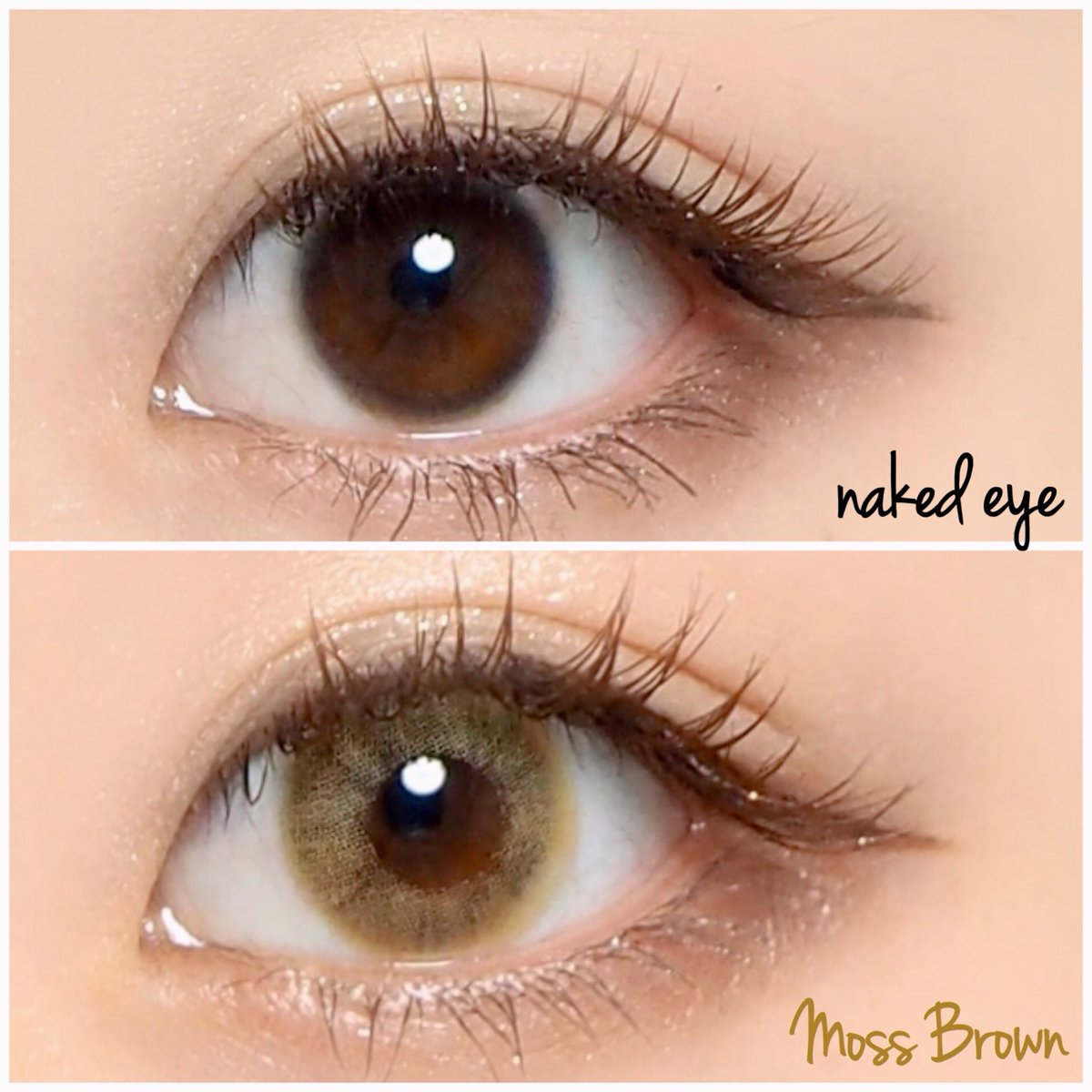 Y U M בטוויטר Teamo グランジワンデー モスブラウン しっかり高発色 やけど濃いメイクじゃなくても使えるあたりが リラックス60 っぽい 気取らないハーフ目って感じ ティアコン カラコン カラコンレポ 外国人風