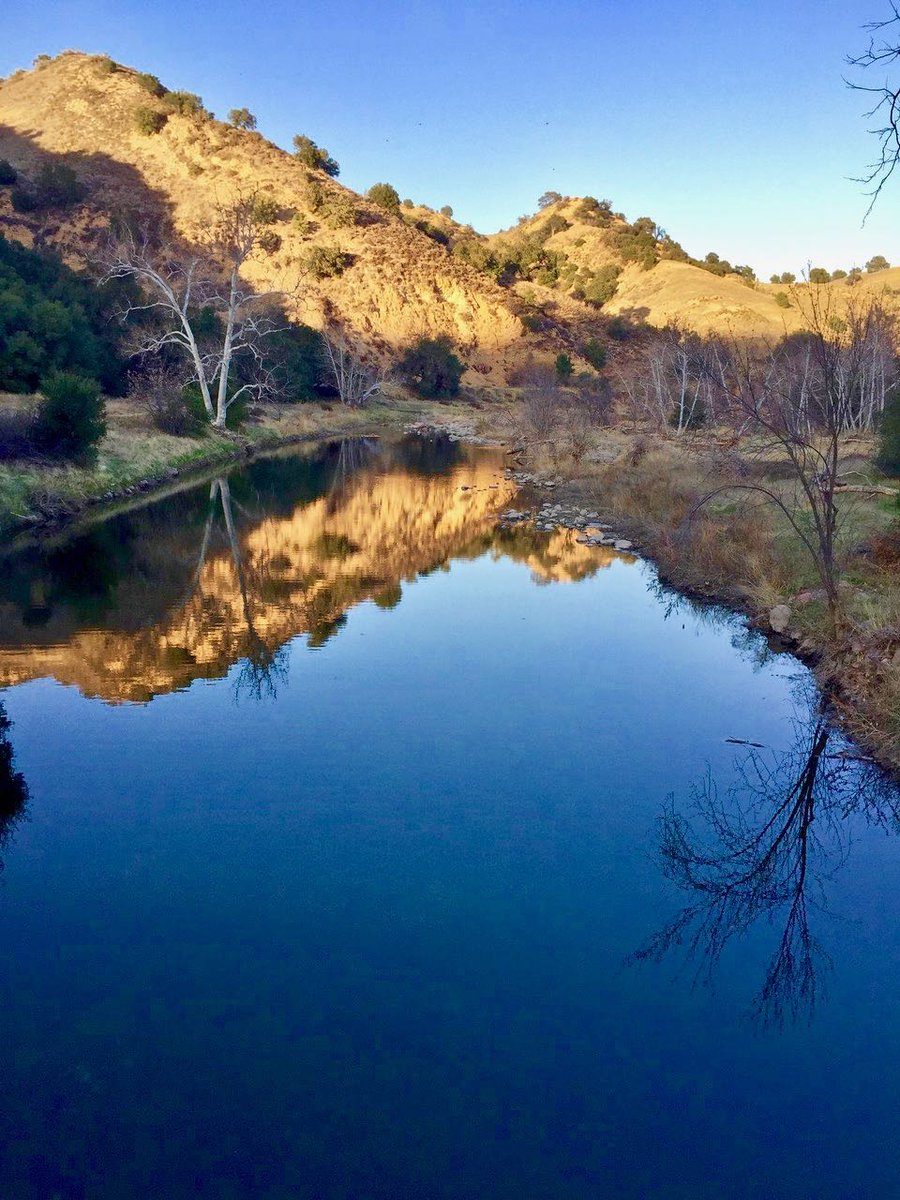 JulieEllerton's tweet photo. Dusk, Malibu Creek State Park...

Peaceful paradise.

#hikingadventures #hiking #nature #colortherapy #healingvibes #soulfood #reflectionsof #Peacefulparadise.#dusk #Californiadreaming #Malibu https://t.co/dOksXSsR51