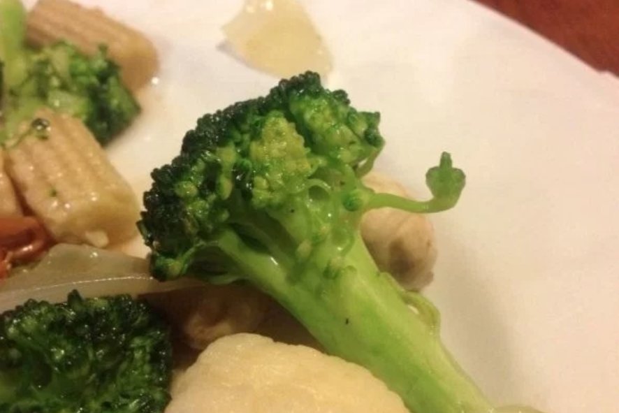 MOM: eat your broccoli ME: ew broccoli is disgusting BROCCOLI: