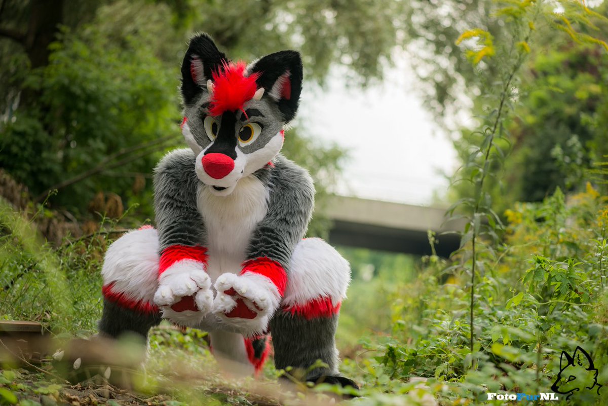 TaikuDee's tweet image. If you see this drolf at @NordicFuzzCon or elsewhere, give it a big hug! But look closely, it is hiding in the bushes :3

📸 @FotoFurNL