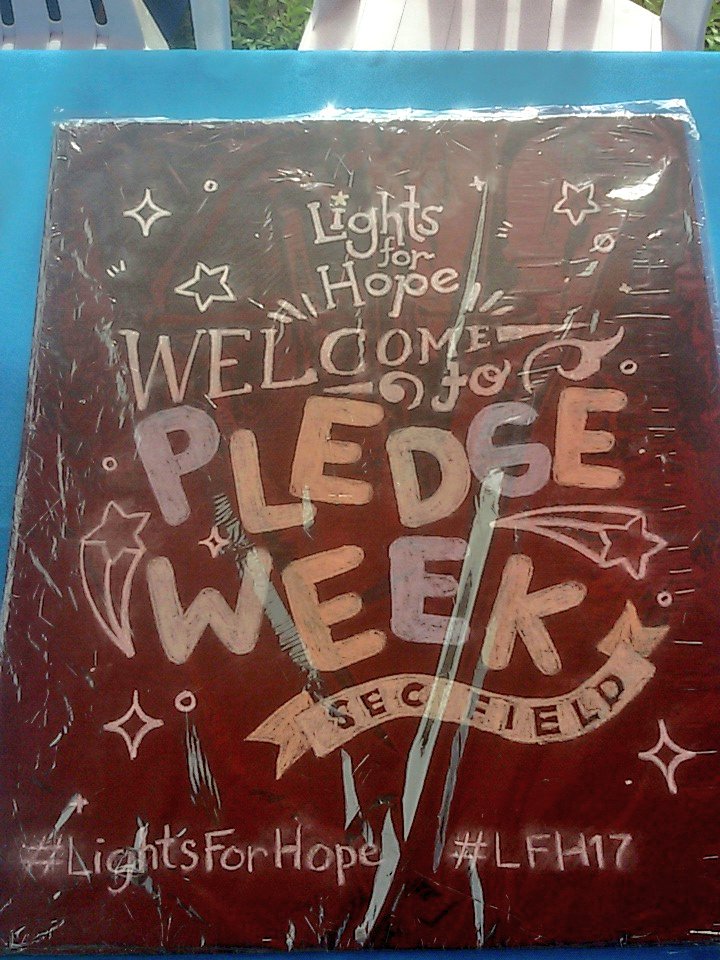 LightsForHope23's tweet image. DAY 2!! 🌟

#LFH17 #PledgeWeek