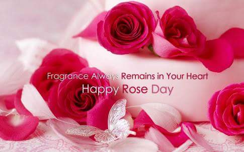 mannukaur13's tweet photo. आप मिलते नही Roz Roz,
आपकी याद आती है हर Roz,
हमने भेजा है Red Roz,
जो आपको…
हमारी याद दिलायेगा हर Roz…
हेप्पी रोज़ डे..!! 
@jaswinder_insa 
@jasman143u https://t.co/qRcY3B7Xez