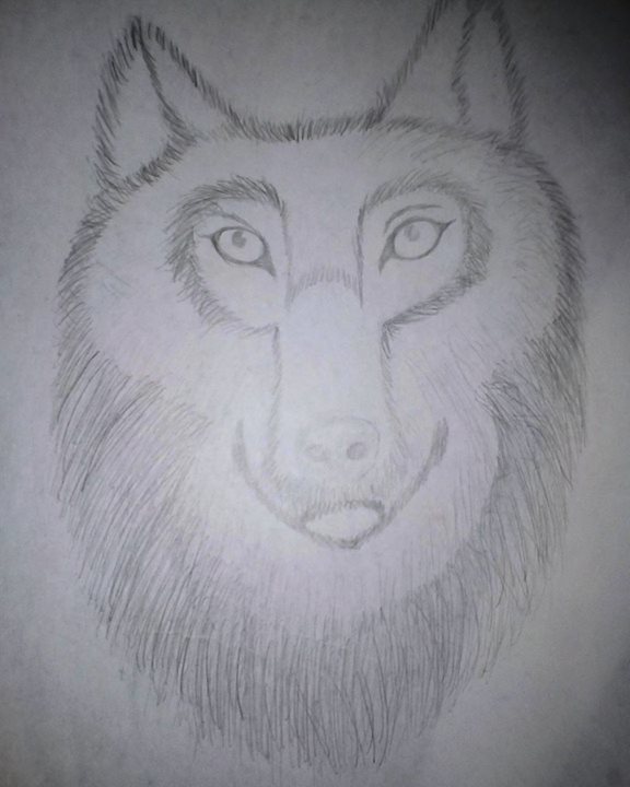Kurutta_draws's tweet photo. Al momento de haber hecho esto me querรญa intentar dibujar animales y pues no quedo totalmente bien pero sin embargo me gusto, tal vez deberรญa retomar la idea
#artedemente #wolf #lobo #dream #pencildraw #hashtagforlikes #sketchbook #sketchbook #drawing https://t.co/IelGXEvr2T