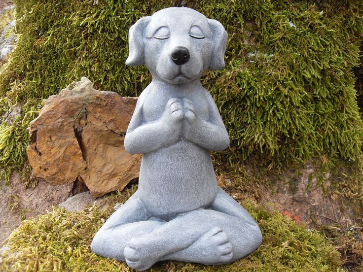 HumbleEast's tweet photo. Tea then Bedtime, have a Peaceful Night All β #Peaceful #Night #Tea #Rest #Sleep #Rejuvenate #NAMASDOG #PBfitandwell https://t.co/jMMq4sUNRr