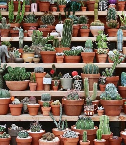 <a href="/verafrde/">Vera Lúcia de Campos</a> <a href="/GarciaRego/">Santos Garcia Rego</a> <a href="/elzasantos007/">Elza Santos</a> <a href="/MarquesKs/">MarquesK</a> <a href="/Cris_Abdalla/">Cristiane C. Abdalla</a> <a href="/DouglasWilliamF/">Douglas William ®🤍</a> <a href="/leilasbsantos/">🇧🇷LEILA BOTELHO 🇧🇷🇮🇱</a> <a href="/AraciBrolo/">𝐀𝐑𝐀𝐂𝐈 𝐁𝐑𝐎𝐋𝐎</a> <a href="/CUSTER85/">carro patrick jacque</a> @RqQKKIJFnSPzZiU <a href="/vairton5550/">vairton</a> @PapaPorter1 @Marlialvesf <a href="/enosms/">Enos Mendes</a> @64Sanjuan <a href="/Verediana0077/">Silvia Regina</a> <a href="/A_temmeunome/">annabelle rosette</a> @Joseluiz40rLuiz <a href="/samybotelho51_a/">Samira BOLSONARO  Botelho</a> <a href="/robertoserra15/">roberto serra</a> <a href="/VelvetSkye/">Velvet Skye™© 🇨🇦 ❤️</a> <a href="/cynthiadfs/">Cynthia [SCCP]</a> @Alexandretrist8 <a href="/ozerinho/">José Roberto Pereira</a> <a href="/leocarjr/">Leonel Carvalho Jr.</a> <a href="/subeida1/">SubeidaHexa🏆🦊💙</a> <a href="/dressenn/">Dressenn</a> <a href="/Ciriademattos/">🔫BRASIL 🌹🍷Aliança pelo Brasil 🇧🇷3⃣8⃣</a> <a href="/ELIANASUGAMORI/">Eliana🇧🇷</a> <a href="/DouglasWilliam0/">Douglas William® 💙</a> <a href="/DeFaukatrua/">Edu live</a> <a href="/mirtacuerva/">Mirta GRA JUAREZ</a> <a href="/mara_assis/">MARA</a> @queiroz618 <a href="/helena_sobotka/">Helena Sobotka - Lena -</a> <a href="/Rose16471484/">Rose💋</a> <a href="/guivs1/">Guilherme Vieira</a> <a href="/rosanesba/">🌺Rosane🌺</a> @gracecipres <a href="/redsand2/">Simon Kim</a> <a href="/profeborto/">Borto - #PensarNaoDoi - NO DM👈</a> <a href="/Joabe_07/">Joabe_07</a> <a href="/IaraDaCunha8/">Iara Da Cunha</a> <a href="/joanne_argent/">Joanne Argent</a> <a href="/Josewilsondasi9/">Jose wilson da silva</a> <a href="/jahangir0162498/">jahangir alam</a> <a href="/celiamarf/">Célia Maria</a> <a href="/j_verdeiros/">EdUaRdO</a> <a href="/EdsonGo04387754/">Oásis no Deserto</a> #QuartaDetremuraSDV