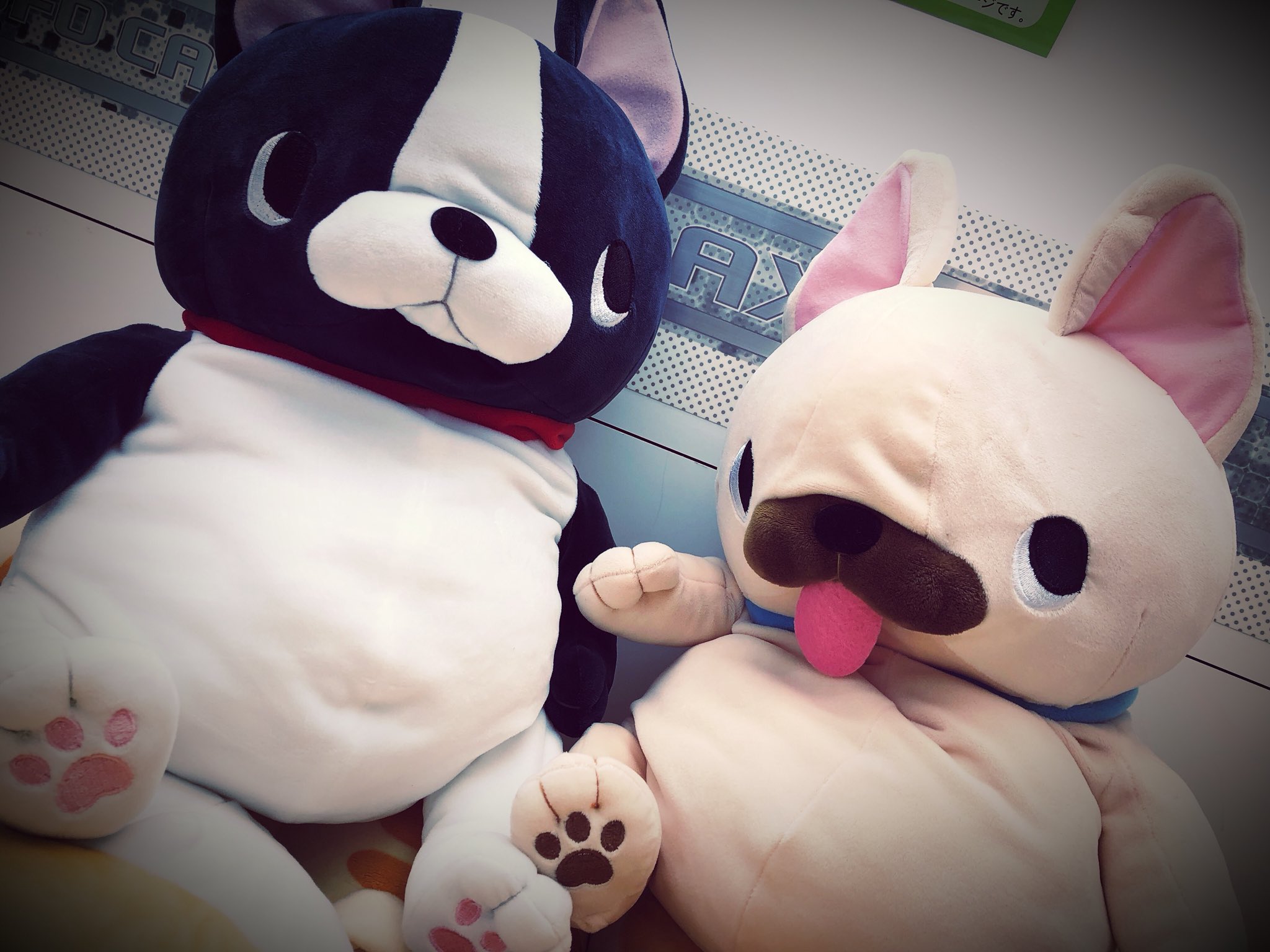 Gao歌舞伎町店 Amufun直営店 Pa Twitter アミューズのnewキャラクター入荷しました ブルブルboo Bigぬいぐるみ 人気なフレンチブルドッグ犬のゆる いキャラクターです もっちもち素材で抱き心地抜群です Gao歌舞伎町店 Amusejapan インスタ