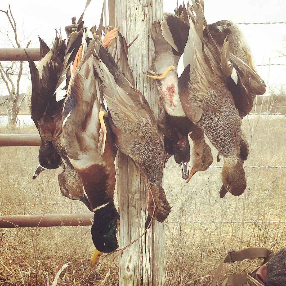 HHDuckCalls's tweet photo. Contestant #2: @BrittBeam8 retweet so he can win!! @BrittBeam8 awesome setup man! https://t.co/HvaHJ8ROne