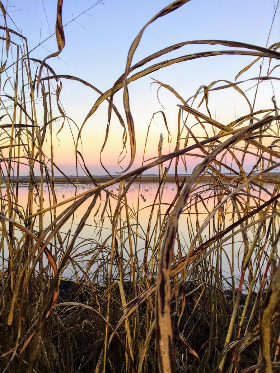 HHDuckCalls's tweet photo. Contestant #4: @GabeLewis5 retweet so he can win!!! @GabeLewis5 beautiful picture of the sunrise!! https://t.co/UnnJfcjxf3