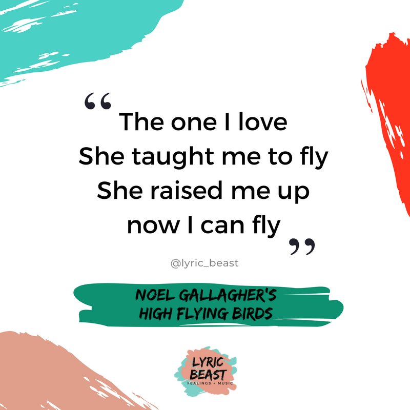 lyric_beast's tweet photo. #SheTaughtMeHowToFly - @NoelGallagher's High Flying Birds https://t.co/4QPploG8fC