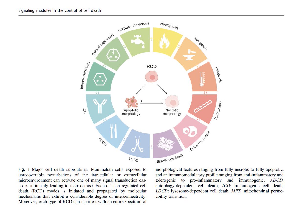 http://www.longhornjerky.com/pdf.php?q=read-new-perspectives-for-environmental-policies-through-behavioral-economics.html