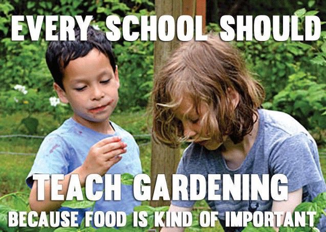 Surry Farmers Market (@surry_market) on Twitter photo 