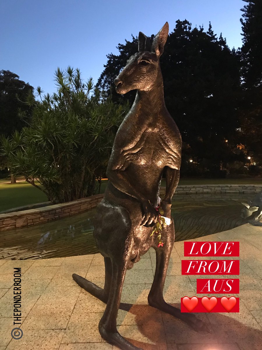 glennysmarsdon's tweet photo. May your love stand strong like this roo and your roses be less droopy.
@tweetperth @cityofperth
.
#love #valentinesday #kangaroo #statue #roses #animal #romance #lovelife #givethanks #metime #freelance #writer #igperth #amazingwa #innercity #justanotherdayinwa https://t.co/tVjMtU0QxQ