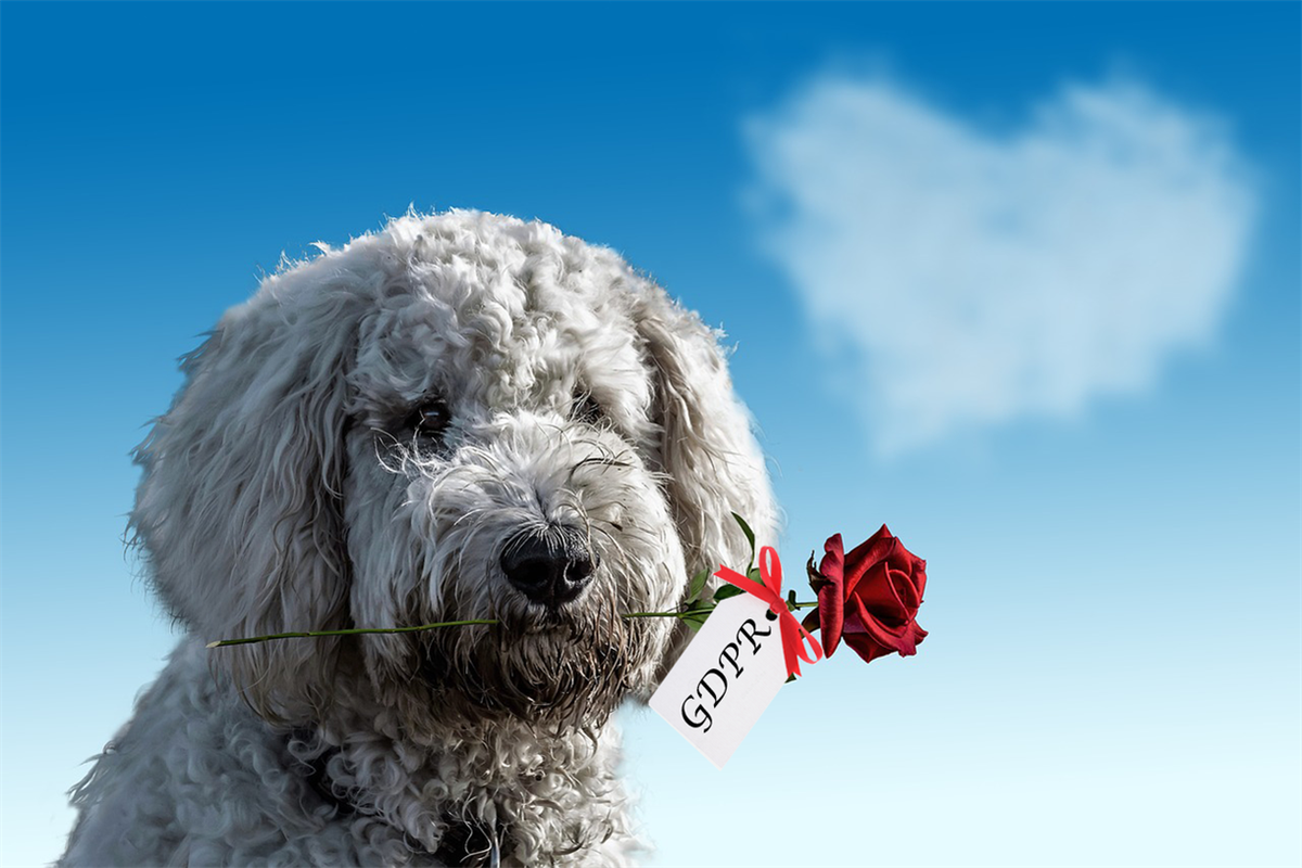 CampaignTechUK's tweet image. Why GDPR-day is #Valentine&apos;s day for brands buff.ly/2F3u08v #GDPR #GDPRJoinTheDiscussion