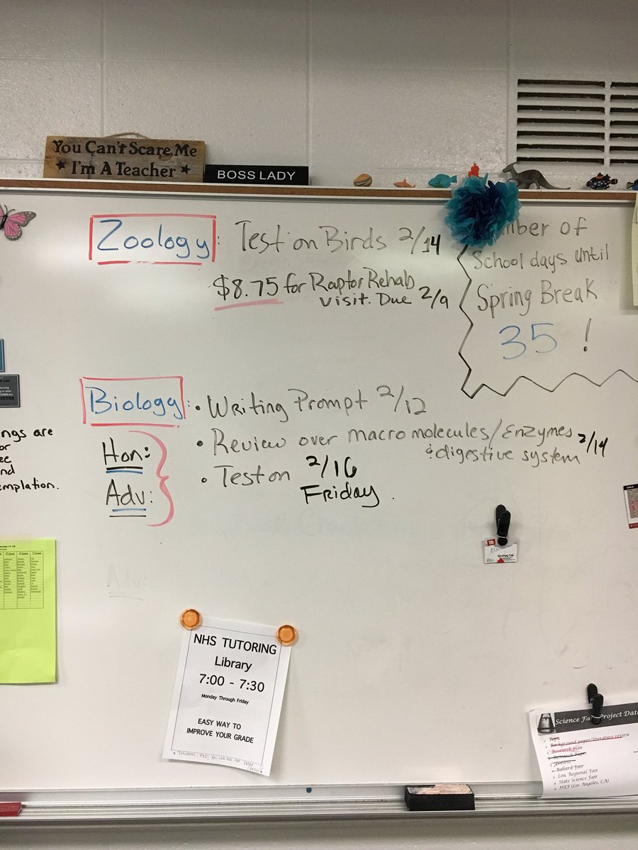Week of 2/13