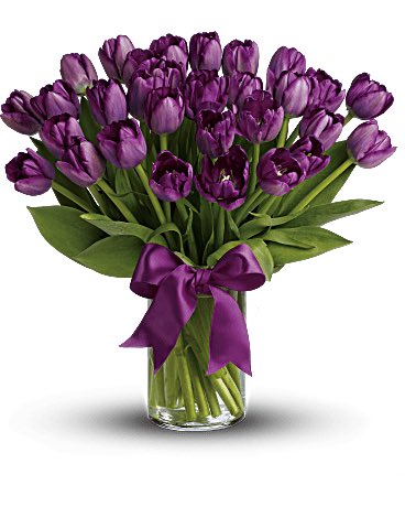 DiamondEyesGod's tweet photo. Tulip purple and red means Undying love and Forever love for @DepravedLove https://t.co/tPYqt2g8o0