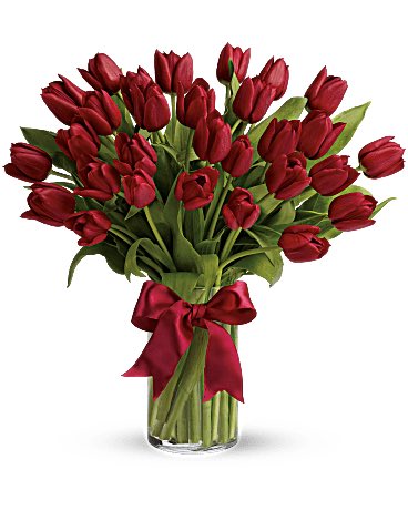 DiamondEyesGod's tweet photo. Tulip purple and red means Undying love and Forever love for @DepravedLove https://t.co/tPYqt2g8o0