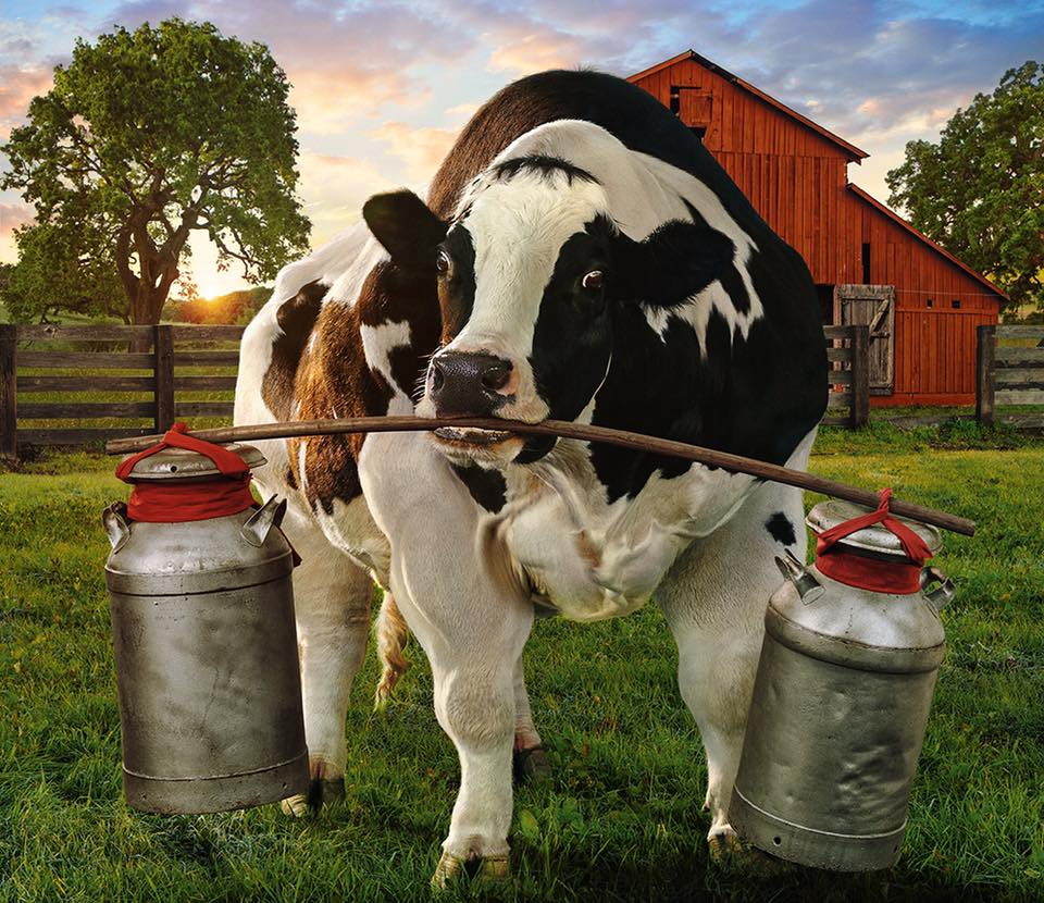 CFALou's tweet photo. #NFMS18 Welcome to Louisville, KY.   Call 502.894.9749 if you need some @ChickfilA catered this week. https://t.co/jlcm5X2x7D
