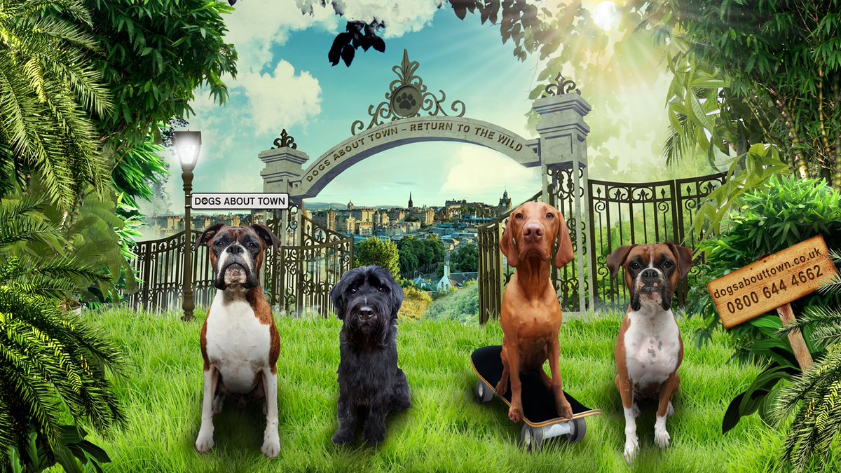 DogsAboutTownUK's tweet image. Thinking about Raw Food for your dog? Book your FREE CONSULTATION &amp;amp; we'll answer your questions.  bit.ly/2gkFLMa #rawfoodfordogs