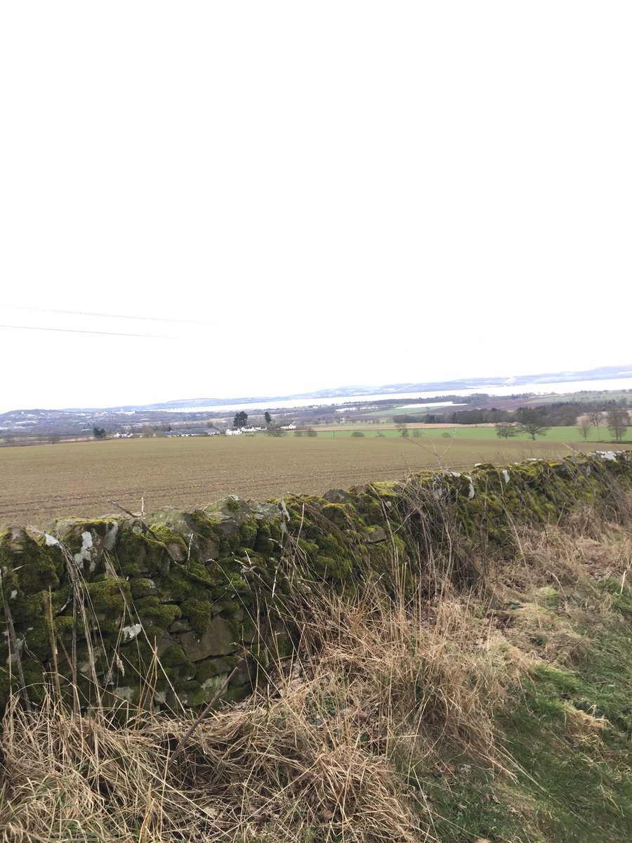 Ian_DMoore's tweet photo. Stunning trail🏃♂️ #Piperdam #Angus #scotland @UKRunChat https://t.co/rVuDdw47sg
