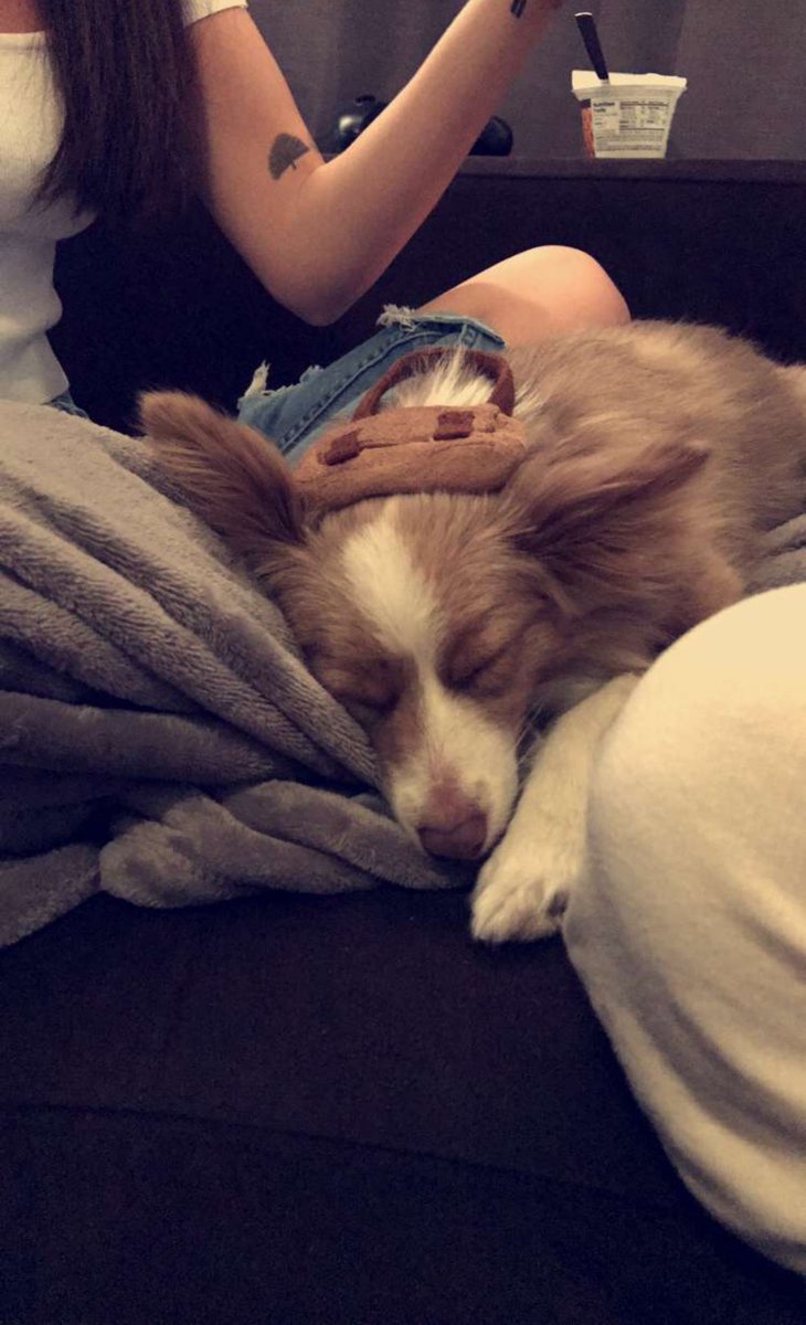 The actual loml, look at my sleepy boy😍