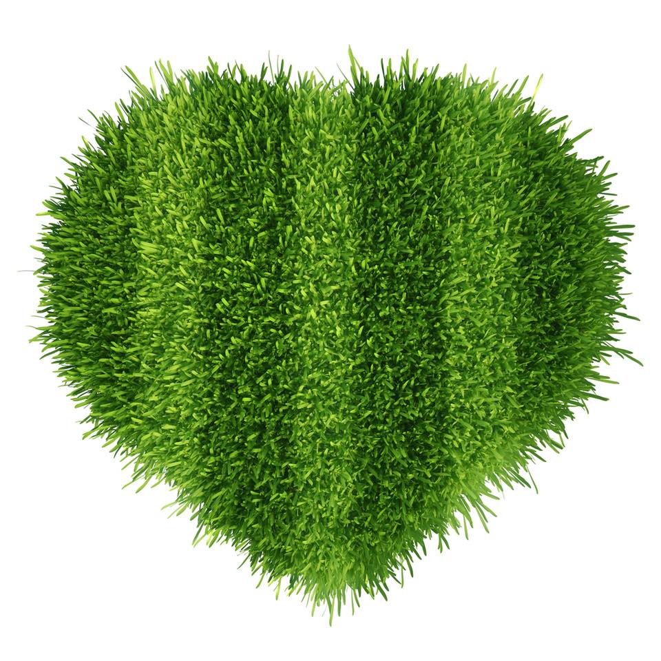 Happy Valentines Day!