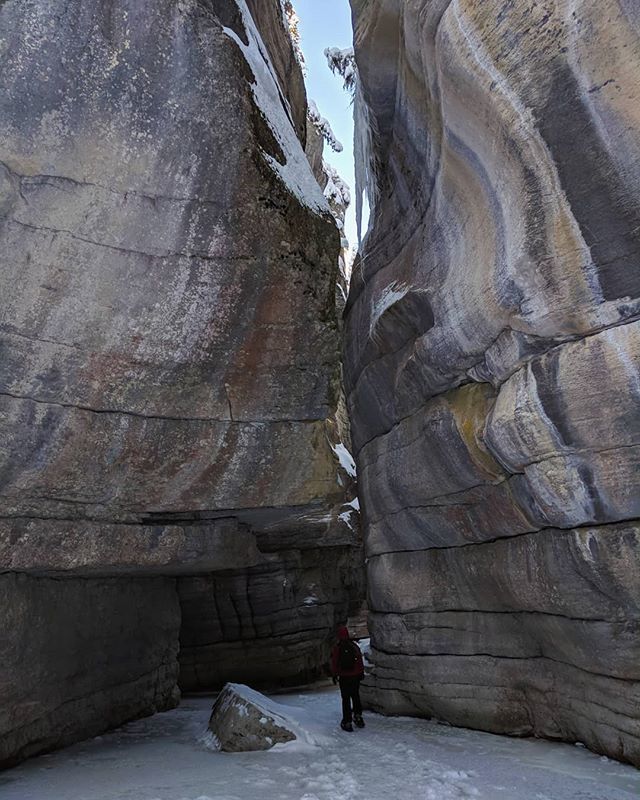 courtmclaugh's tweet photo. Hopped a fence that apparently wasn't locked 🤷 but we made it to the bottom of the frozen Maligne Canyon! 🏞️🇨🇦
.
.
.
.
.
#landscape_lovers #exploretocreate #folkcreative #livefolk10k #agameoftones #FoundLost #adventurethatislife #outdoors #lifeof… https://t.co/mG6b173VIh https://t.co/W0el5HjoLl