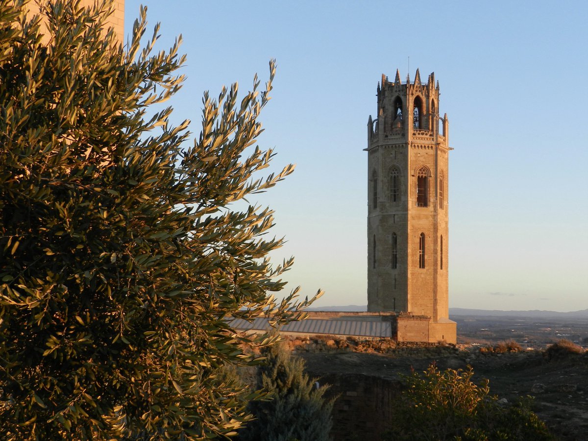 L’avantprojecte de l’ordenança del #paisatgedeLleida regula tots els aspectes vinculats a construccions, instal·lacions i altres elements, amb especial cura per àrees de tractament paisatgístic  diferenciat, com el <a href="/CentreHistoric/">CentreHistòricLleida</a> de Lleida i la Seu Vella, o els #espaisnaturals.