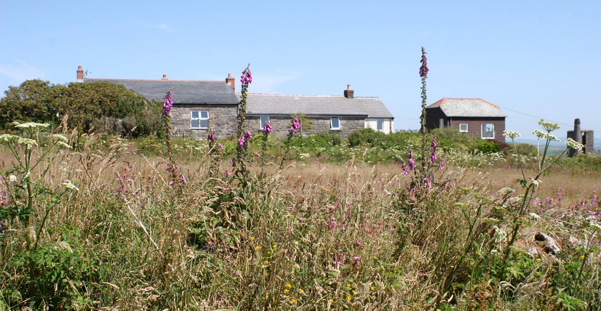 TheHolidayCots's tweet image. Ding Dong Cottages offer beautiful views across Mounts Bay to the Lizard Peninsula.
theholidaycottages.co.uk/Cornwall/6414
#NewMill #Penzance #Cornwall #England #Holiday #Travel #Cottage #LizardPeninsula #MountsBay
