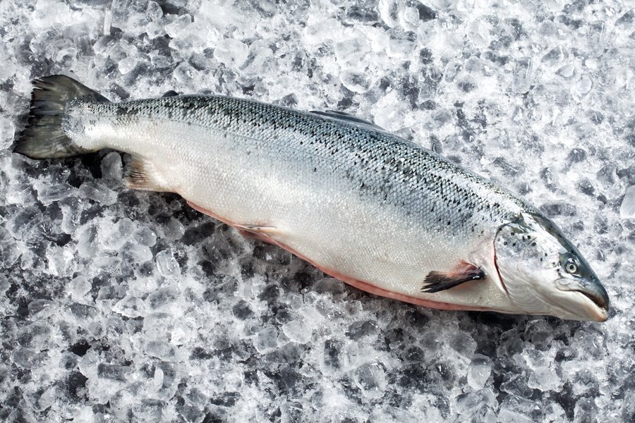 On offer <a href="/brownandmay/">Brown & May</a>.  Sides of fresh salmon - approx. 1.5 kg only £16.25 PER SIDE !  sales@brownmay.com. 01379 870181