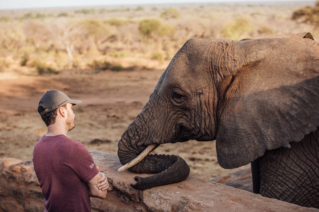 Always dream big. Just waiting to see if she’ll agree to be my #valentine ❤️ #elephants