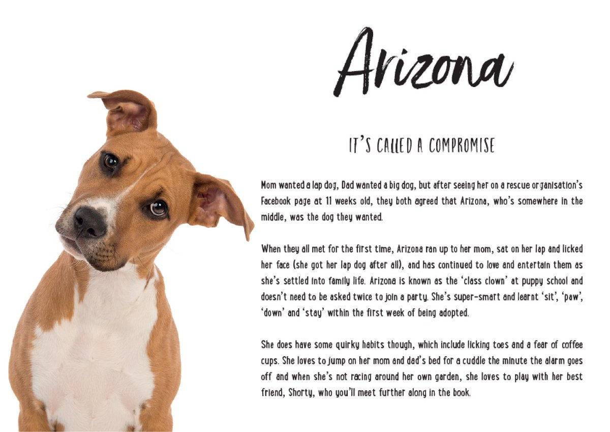 DeFiWhore's tweet photo. On this day of love, consider sharing some of that warm &amp; fuzzy with a shelter dog. Read more about a great initiative by photographer @emmaobrienphoto here: https://t.co/sbMImNrz0V

#ValentinesDay
#DogsofTwitter
#AdoptDontShop https://t.co/SLzxpHppT8