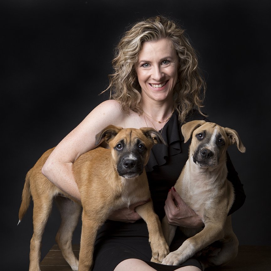 DeFiWhore's tweet photo. On this day of love, consider sharing some of that warm &amp; fuzzy with a shelter dog. Read more about a great initiative by photographer @emmaobrienphoto here: https://t.co/sbMImNrz0V

#ValentinesDay
#DogsofTwitter
#AdoptDontShop https://t.co/SLzxpHppT8