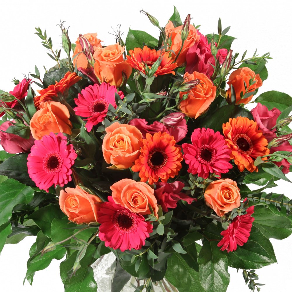 Amsterdam Flowers tweet media