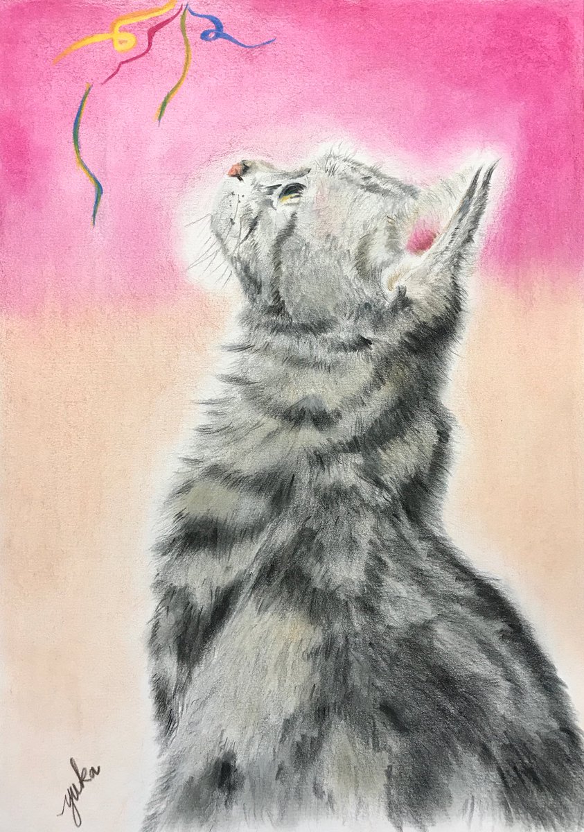 ゆか Auf Twitter ひとまず完成 某ねこのイラストコンテストに出展します 賞はもらえなくても展示はされる予定 A4サイズ タイトルは 暖 カリスマカラー 猫 ねこ にゃんこ Cat 猫イラスト ねこイラスト アメリカンショートヘア 色鉛筆 色鉛筆画