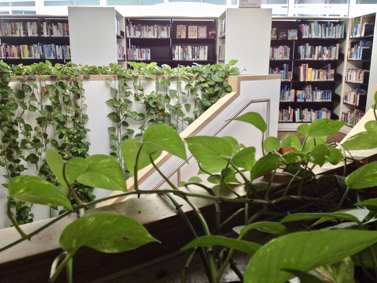 IsabellaKoldras's tweet photo. “If you have a #Garden in your #Library, we will want for nothing.” #Nature #Nurture #InOurLibrary #LibraryLoversDay https://t.co/O4BU0ofL1y