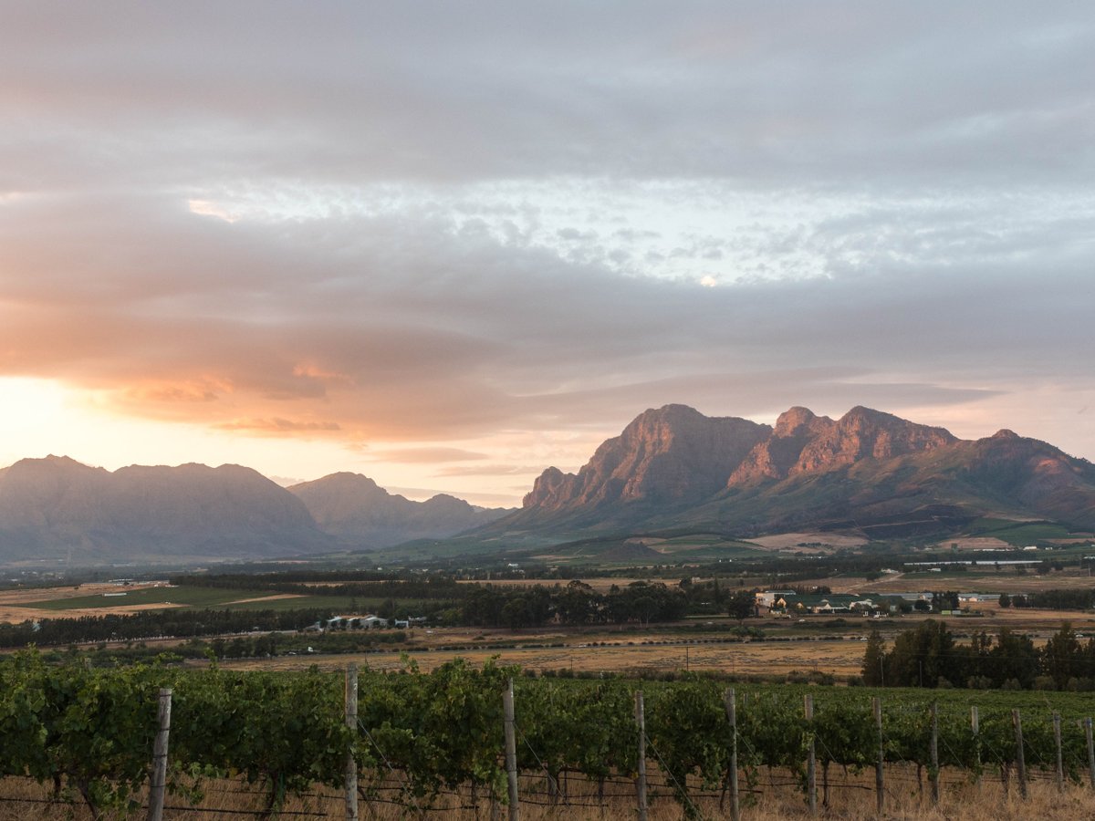 FairviewWine's tweet image. As you might have heard, there was an incident at our very own Charles Back’s house in the early morning hours. In true Charles character, he is back at home and wants to release his own statement, which we will share in due course. We ask to please respect his privacy.