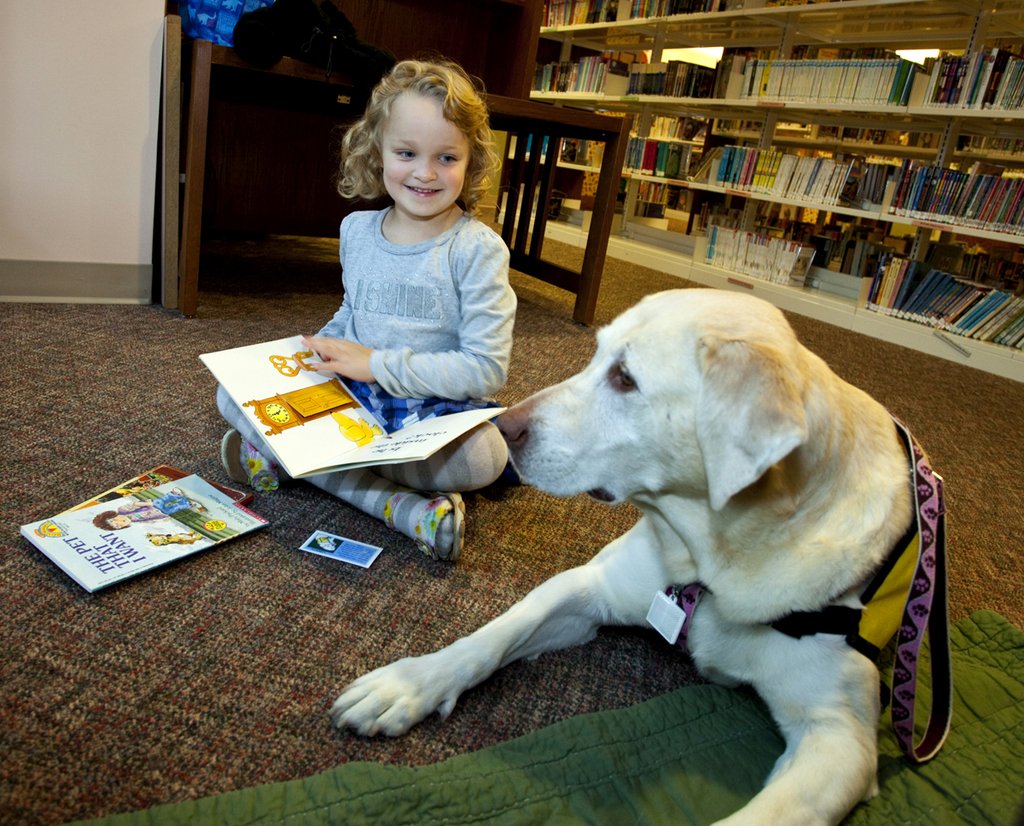 Польза проекта