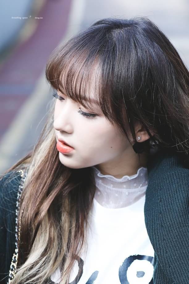 Koreanid2's tweet photo. ❄️ Cheng Xiao — WJSN ❄️

⇝ Save? Like n comment !
⇝ Request? Chat !
⇝ Repost? Give cr : Girls of Kpop

Tags : #GOK_chengxiao #GOK_wjsn #GOK_cosmicgirls #GOK_seongso https://t.co/SFCAZUdg0R