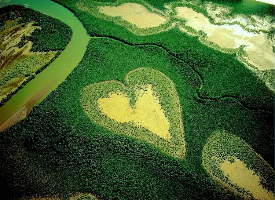 Conlegno tweet media