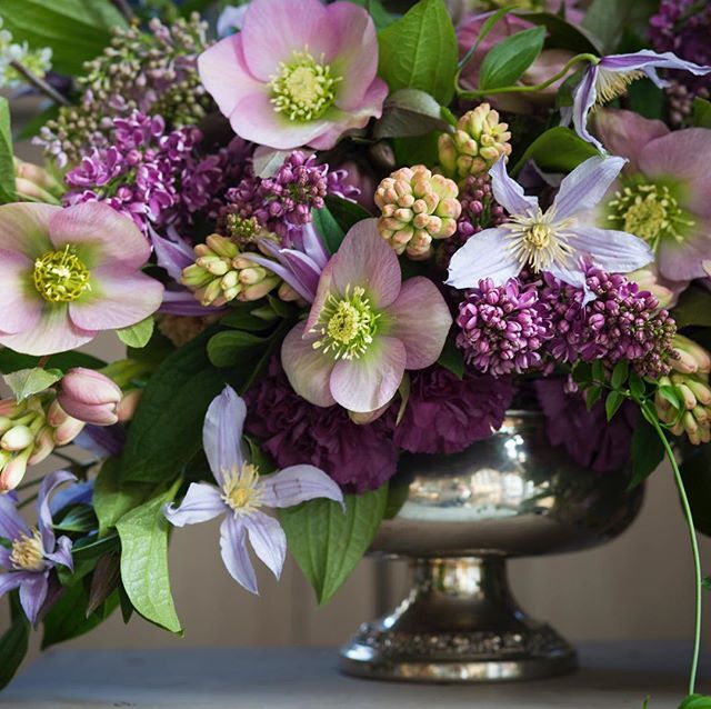 SabineDarrall's tweet photo. I'm always collecting these old rose bowls with a metal frog perfect for @nofloralfoam and ideal for hellebores who also hate foam! #nofoamzone #nofloralfoam #hellebore #greenfloristry #ecofloristry #spring https://t.co/4zGi46m2Te https://t.co/tCkmBkXcAx