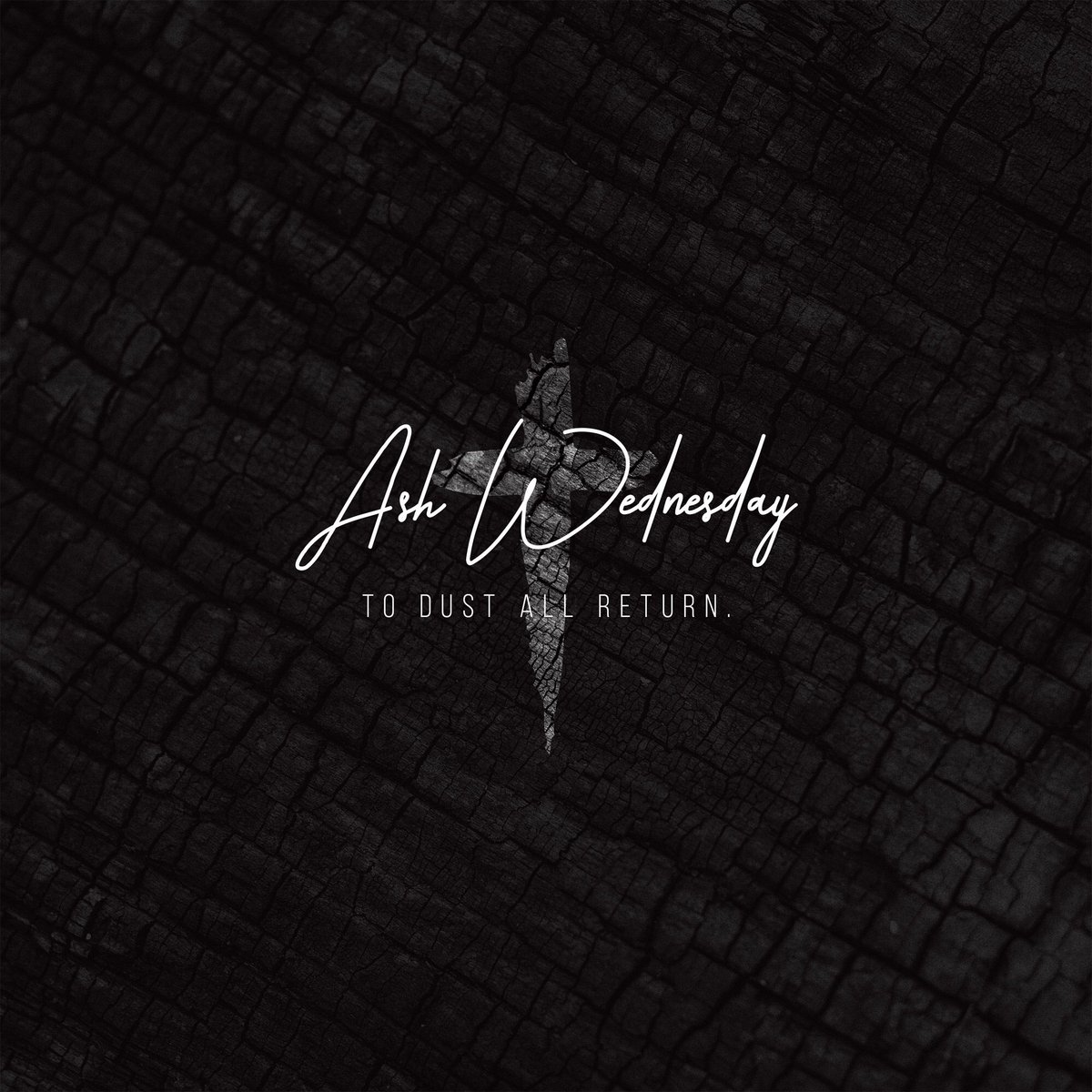 download Foodborne Diseases