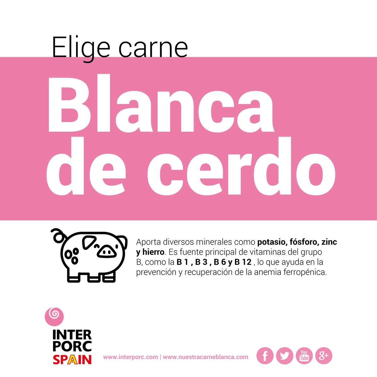 ¿Qué beneficios tiene #NuestraCarneBlanca? 🐖 
Descubre más información en nuestracarneblanca.com